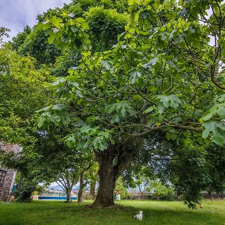 Casa De Aldea El Ferreiron Landhuis Castropol