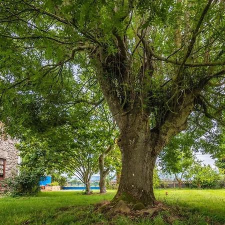 Летний дом Casa De Aldea El Ferreiron *